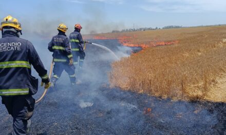 INCENDIO DE RASTROJO DE TRIGO