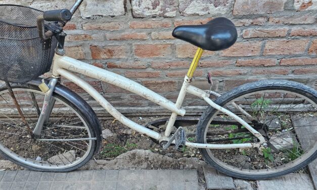 ALLANAMIENTO Y HALLAZGO DE ELEMENTOS QUE ESTABAN BUSCANDO