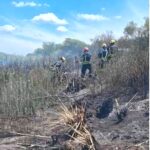 SE REAVIVÓ HOY EL INCENDIO EN LAS BANQUINAS DE LA AUTOPISTA