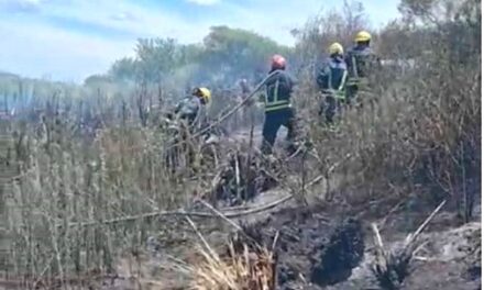 SE REAVIVÓ HOY EL INCENDIO EN LAS BANQUINAS DE LA AUTOPISTA