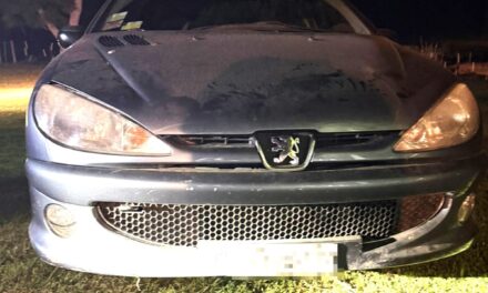 VEHÍCULO ENCAJADO EN UN HORMIGUERO EN ZONA RURAL