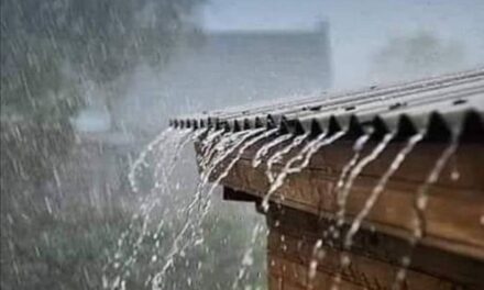 FUERTE TORMENTA EN LA REGIÓN Y MUCHA LLUVIA EN LAS PAREJAS