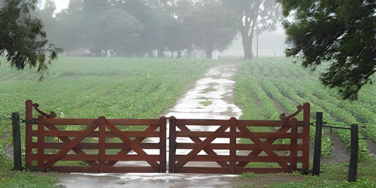 LLUVIA DE OTOÑO SOBRE LAS PAREJAS