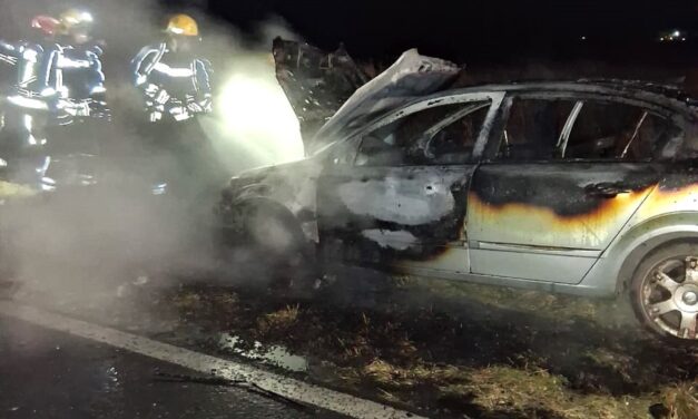 INCENDIO DE UN AUTOMÓVIL EN RUTA 178