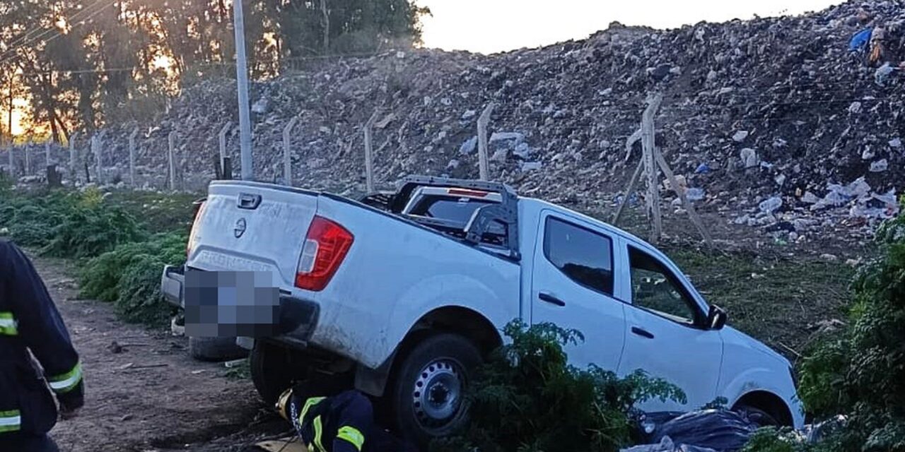 DOS DESPISTES EN LA MAÑANA DE ESTE DOMINGO