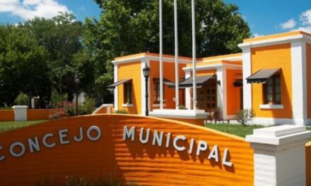 PROPUESTAS PARA REINICIAR, RETOMAR O FINALIZAR LA PRIMARIA