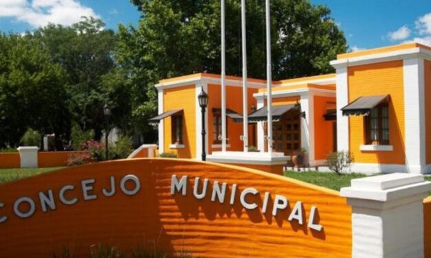 PROPUESTAS PARA REINICIAR, RETOMAR O FINALIZAR LA PRIMARIA