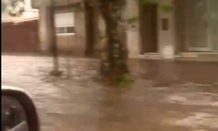 LA FUERTE TORMENTA ANEGÓ CALLES Y PRODUJO CORTES DE ENERGÍA